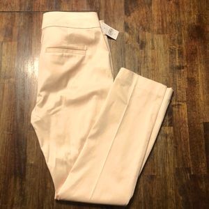 NWT Loft Marisa skinny